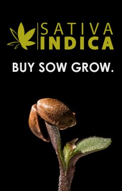 Sativa Indica Seedbank - Buy Sow Grow.